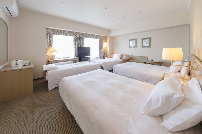 Imagen de la habitación del Hotel Kobe Seishin Oriental. Foto 7