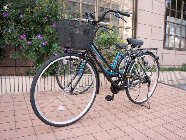 Imagen general del Hotel Kochi Palace. Foto 2