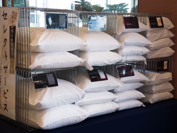 Imagen de los interiores del Hotel Kochi Palace. Foto 20