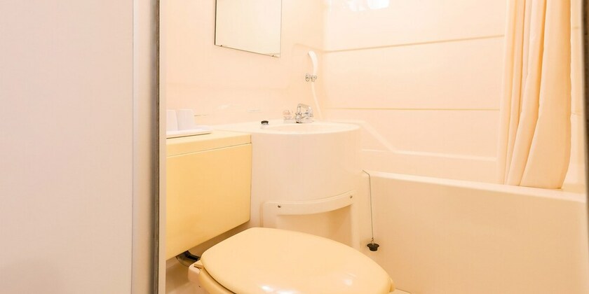 Imagen de la habitación del Hotel Kochi Sakura. Foto 9