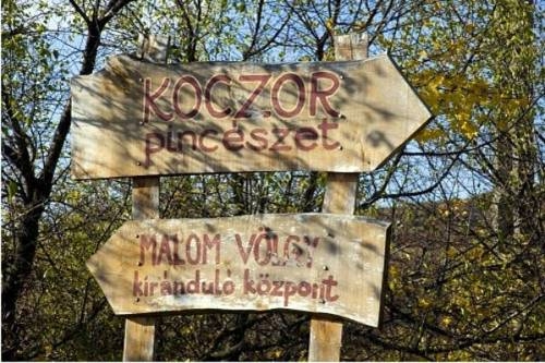 Imagen general del Hotel Koczor Pinc&eacute;szet Y Vend&eacute;gfogad&oacute;. Foto 15