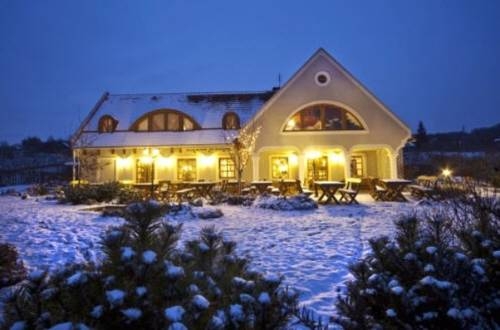 Imagen general del Hotel Koczor Pinc&eacute;szet Y Vend&eacute;gfogad&oacute;. Foto 16