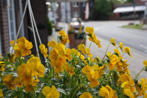 Imagen de la habitación del Hotel Koenig Stuben. Foto 9