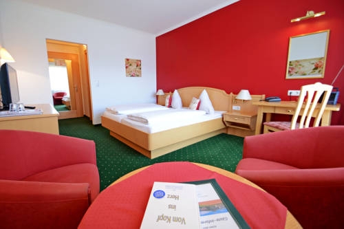 Imagen general del Hotel Kogler. Foto 3