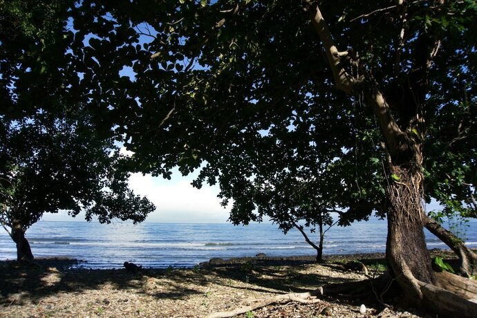 Imagen general del Hotel Koh Chang Privilege. Foto 9