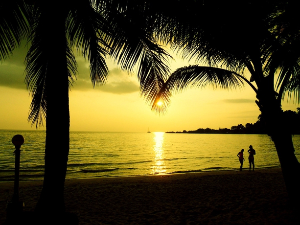 Imagen de los exteriores del Hotel Koh Chang Resort. Foto 13