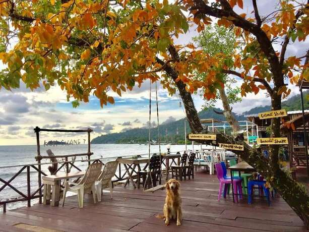 Imagen general del Hotel Kohchang7 Guest House. Foto 15
