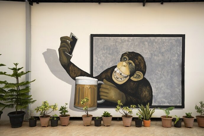 Imagen general del Hotel Koko Maya By Stone Wood. Foto 16