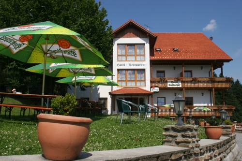 Imagen de la habitación del Hotel Kollerhof, Hojsova Str&aacute;ž. Foto 2