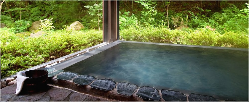 Imagen de la piscina del Hotel Komagane Kogen Resort Linx. Foto 17