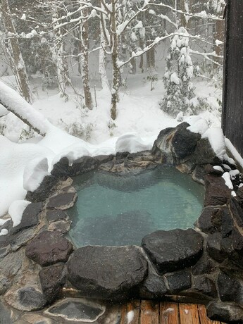 Imagen general del Hotel Komagatake Onsen. Foto 1