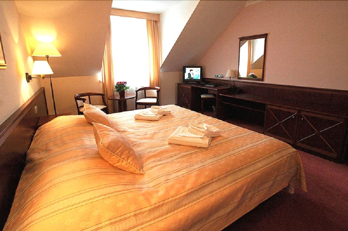Imagen de la habitación del Hotel Komorni Hurka. Foto 8