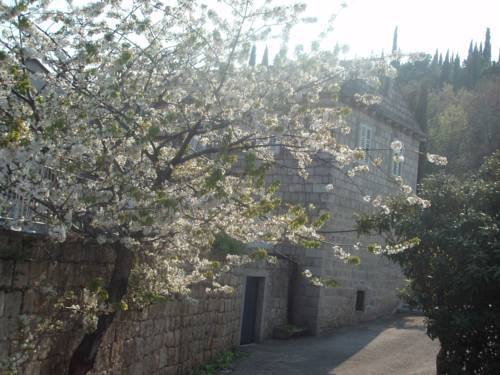 Imagen general del Hotel Konavle Rooms. Foto 8