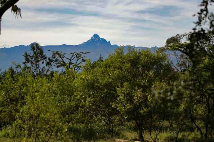 Imagen general del Hotel Kongoni Camp Nanyuki. Foto 3