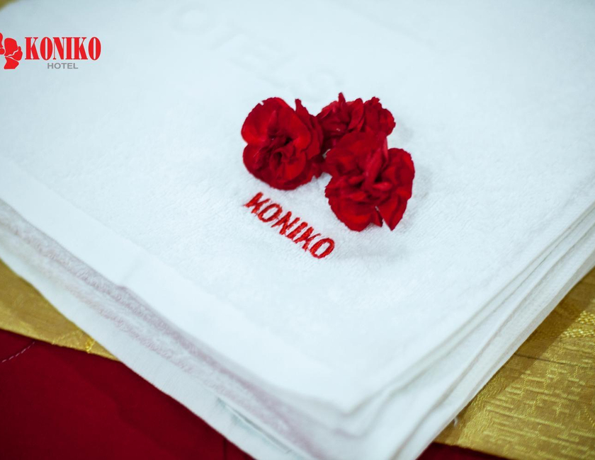 Imagen general del Hotel Koniko, Ho Chi Minh. Foto 3