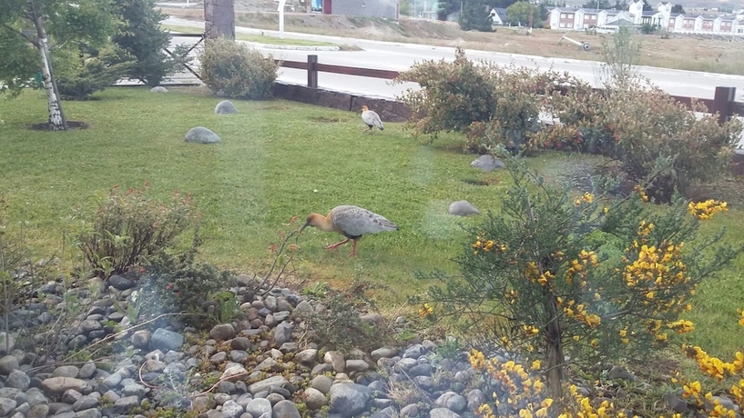 Imagen de la habitación del Hotel Konke Calafate. Foto 13