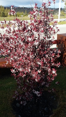 Imagen de la habitación del Hotel Konke Calafate. Foto 14