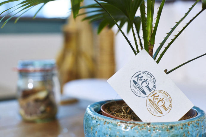 Imagen de la habitación del Hotel Ko'ono Und Restaurant. Foto 10