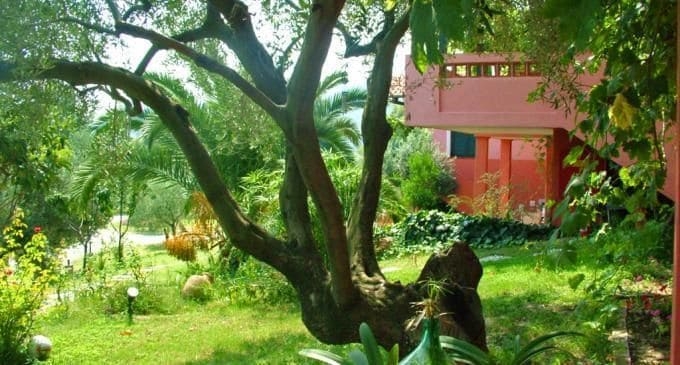 Imagen de los exteriores del Hotel Kopana Resort. Foto 9
