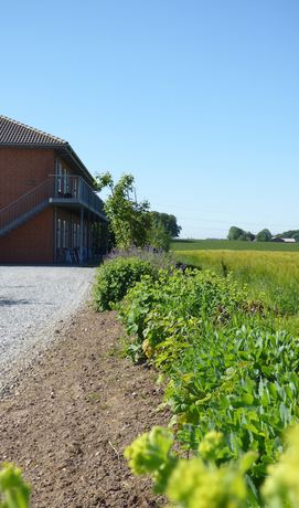 Imagen de los exteriores del Hotel Korning Kro. Foto 18