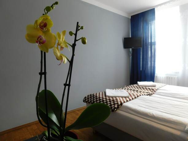 Imagen general del Hotel Korona Guest Rooms. Foto 5