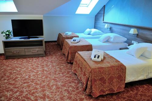 Imagen de la habitación del Hotel Korona, Ostr&oacute;w Mazowiecka. Foto 8