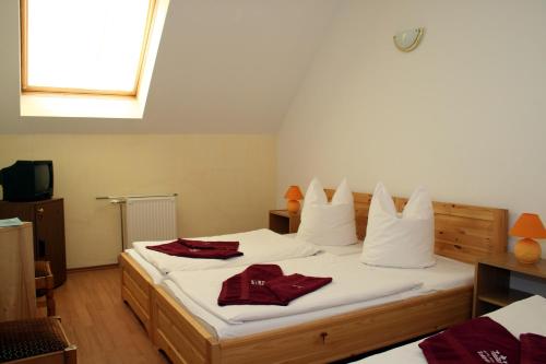 Imagen general del Hotel Korona, Siofok. Foto 5