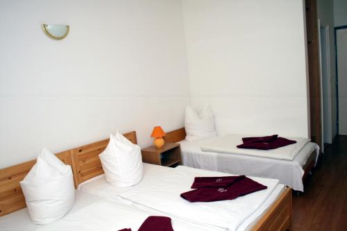 Imagen general del Hotel Korona, Siofok. Foto 6