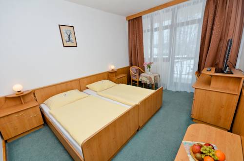 Imagen de la habitación del Hotel Kotyza. Foto 3