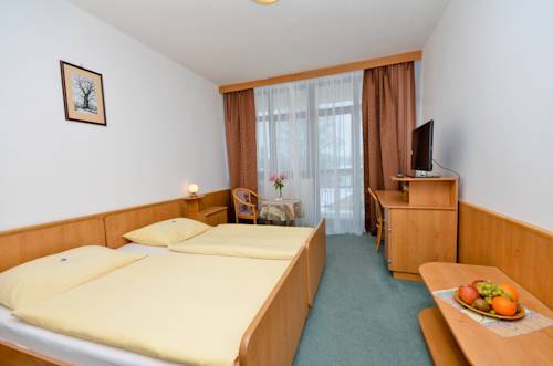 Imagen de la habitación del Hotel Kotyza. Foto 15