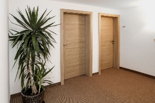 Imagen general del Hotel Kögele. Foto 3