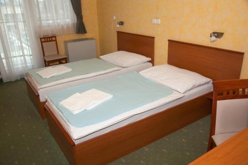 Imagen general del Hotel König, NAGYKANIZSA. Foto 3