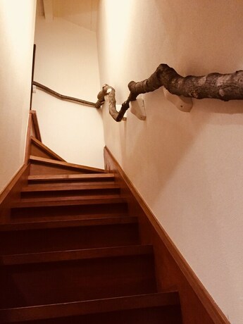 Imagen de los interiores del Hotel Koya. Foto 15