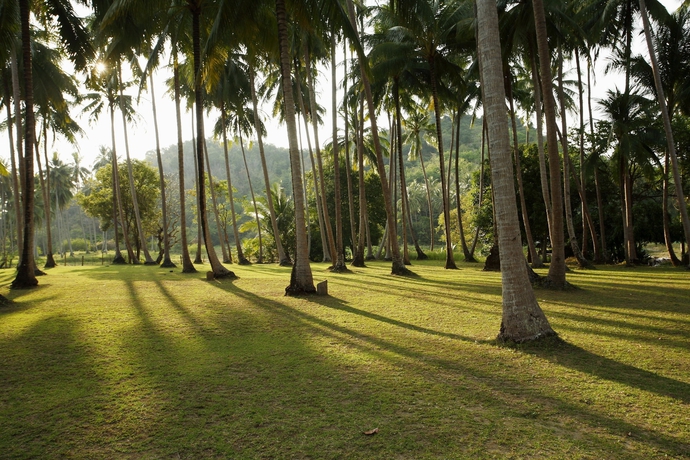Imagen de la habitación del Hotel Koyao Island Resort. Foto 15