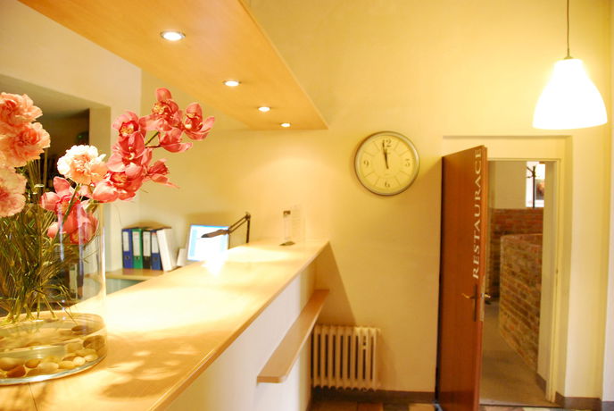 Imagen general del Hotel Kozák, Brno. Foto 1