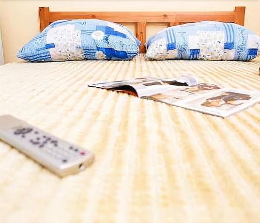 Imagen de la habitación del Hotel Kozatskiy On Antonova. Foto 4