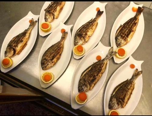 Imagen general del Hotel Kraja. Foto 15