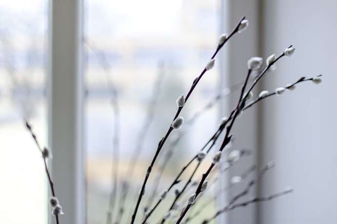 Imagen de la habitación del Hotel Krakow Town House. Foto 3