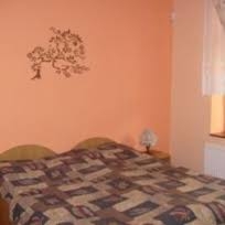 Imagen general del Hotel Kralicek. Foto 6