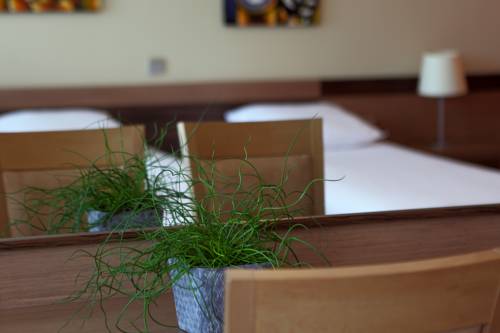 Imagen de la habitación del Hotel Kras. Foto 10