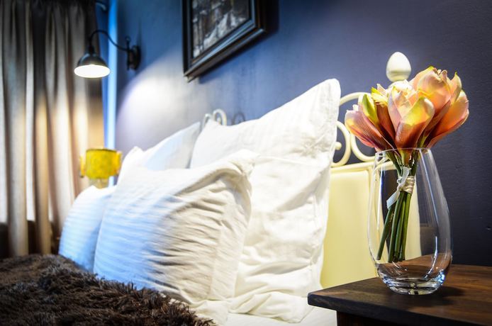Imagen de la habitación del Hotel Krasnaya Gora Boutique. Foto 6