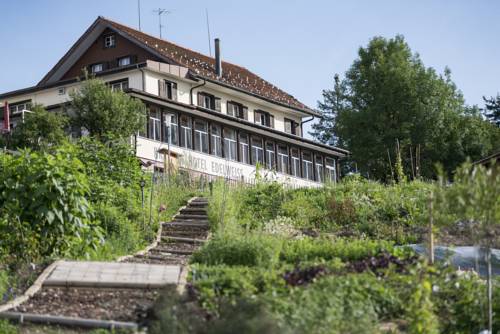 Imagen de la habitación del Hotel Kr&auml;uterhotel Edelweiss. Foto 2