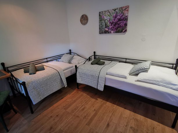 Imagen de la habitación del Hotel Kraus. Foto 3