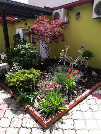 Imagen de la habitación del Hotel Kraus. Foto 6