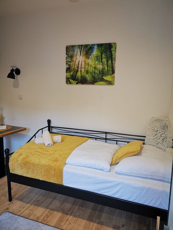 Imagen de la habitación del Hotel Kraus. Foto 14