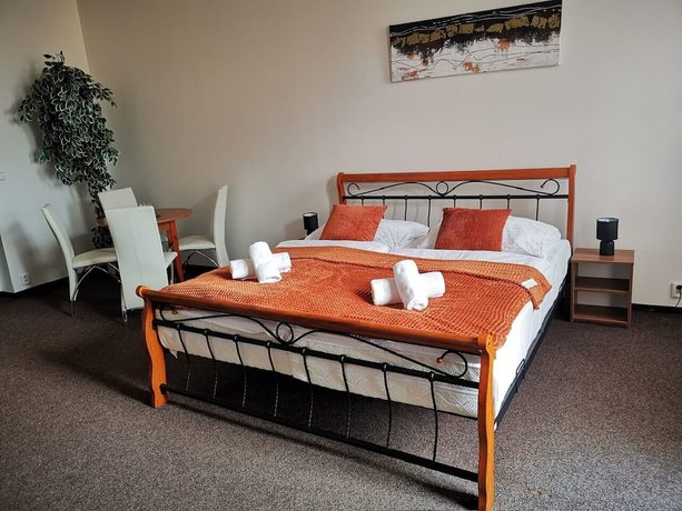 Imagen de la habitación del Hotel Kraus. Foto 15