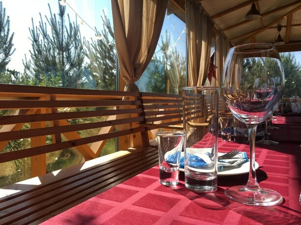 Imagen general del Hotel Krenitsy. Foto 14