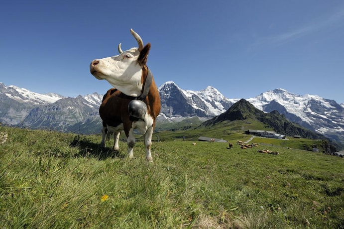 Imagen general del Hotel Kreuz and Post. Foto 15