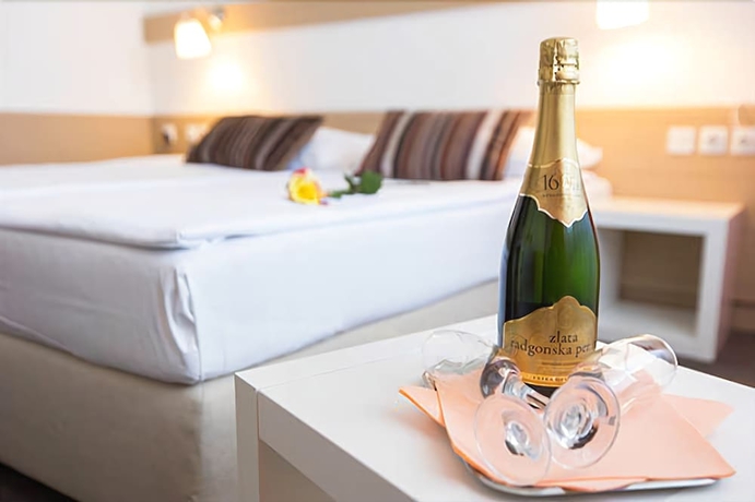 Imagen de la habitación del Hotel Krim Bled. Foto 7