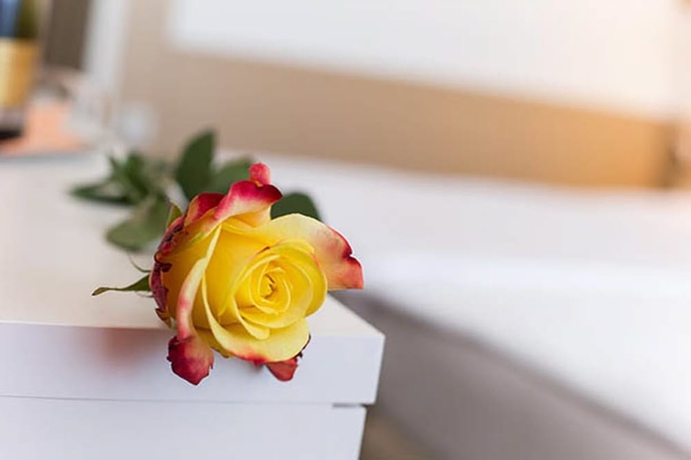 Imagen de la habitación del Hotel Krim Bled. Foto 14